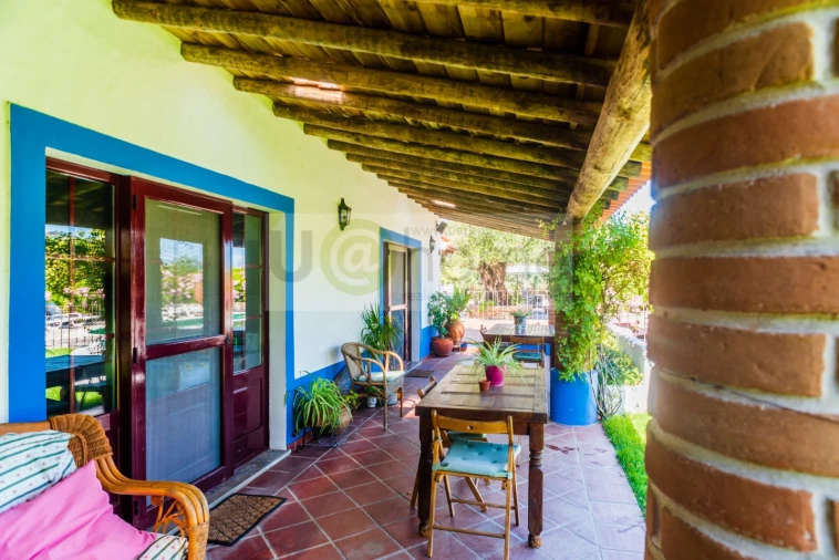 Quinta T13 para Venda em Monsaraz Foto 12