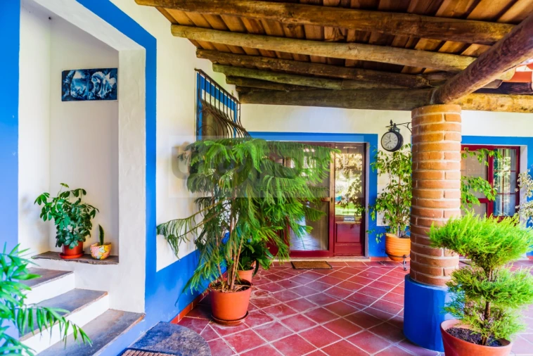 Quinta T13 para Venda em Monsaraz Foto 16