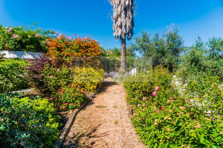 Quinta T13 para Venda em Monsaraz Foto 17