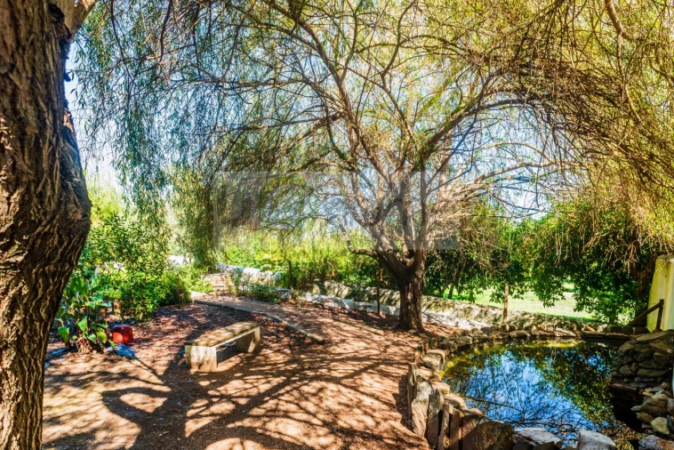 Quinta T13 para Venda em Monsaraz Foto 18