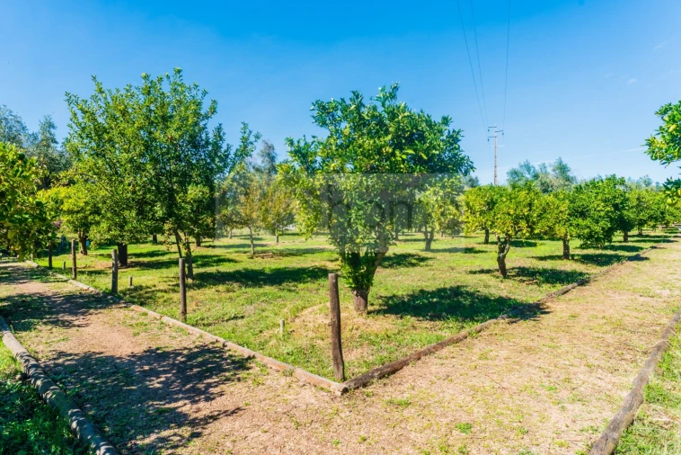 Quinta T13 para Venda em Monsaraz Foto 81