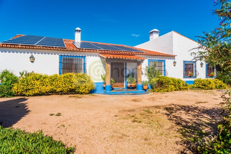 Quinta T13 para Venda em Monsaraz Foto 79