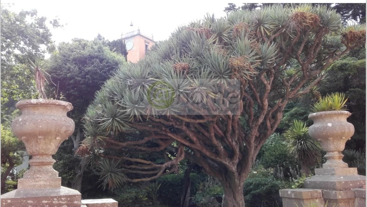 Moradia T30 para Venda em Oeiras e São Julião da Barra, Paço de Arcos e Caxias Foto 17