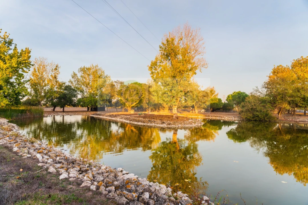 Quinta T8 para Venda em Santo Estêvão Foto 26