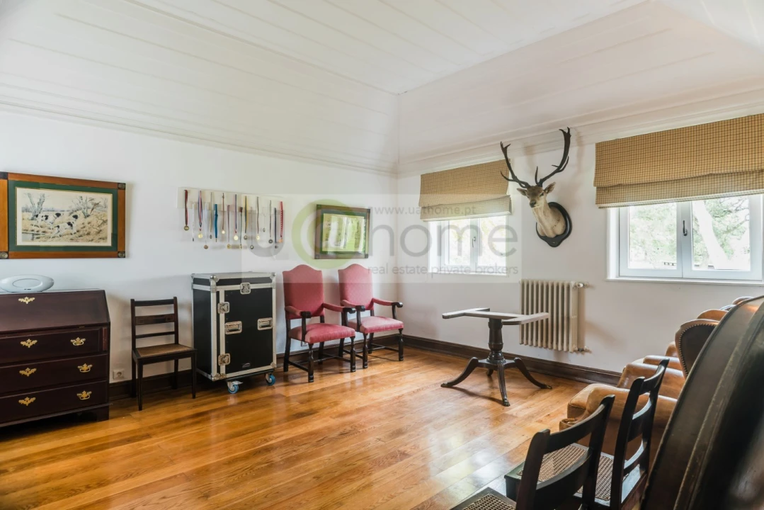 Quinta T8 para Venda em Santo Estêvão Foto 39