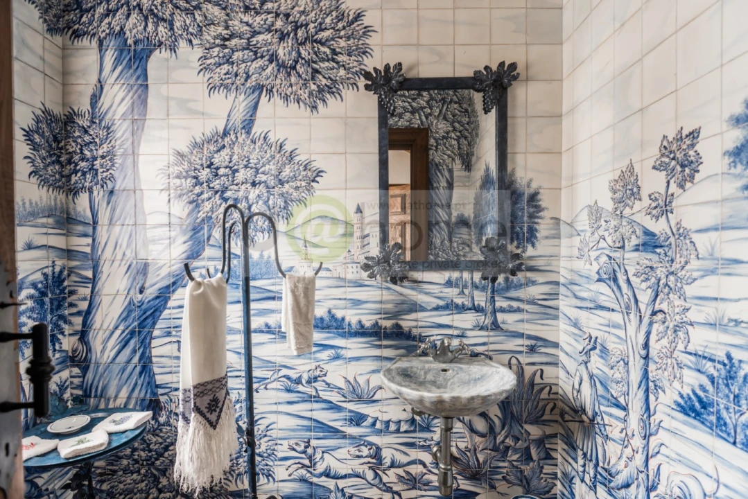 Quinta T8 para Venda em Santo Estêvão Foto 28