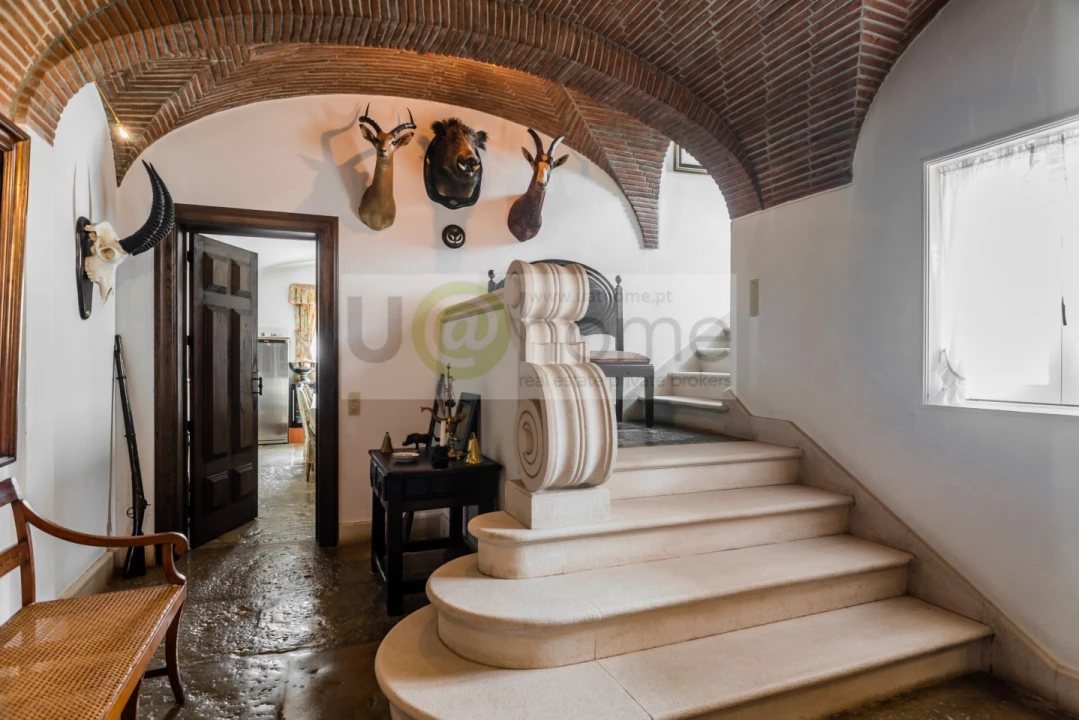 Quinta T8 para Venda em Santo Estêvão Foto 9