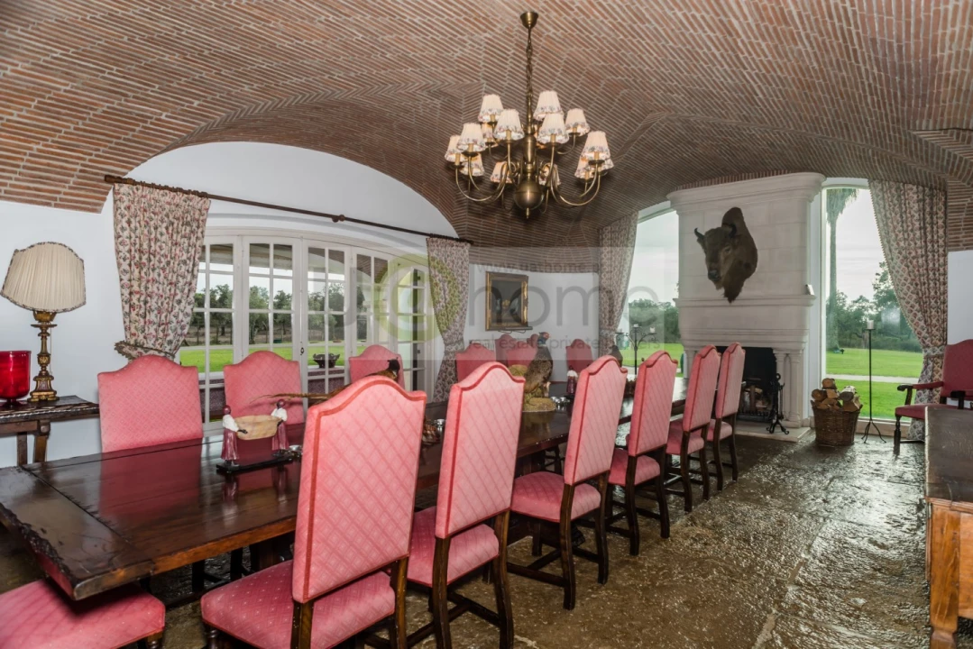 Quinta T8 para Venda em Santo Estêvão Foto 19