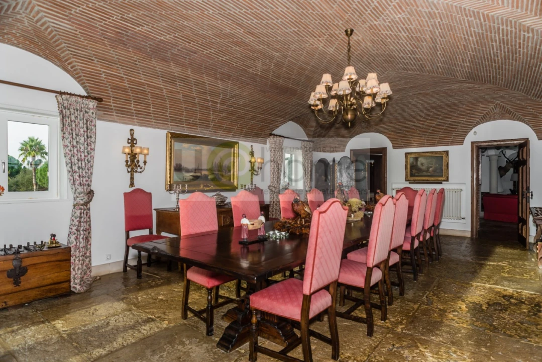 Quinta T8 para Venda em Santo Estêvão Foto 17