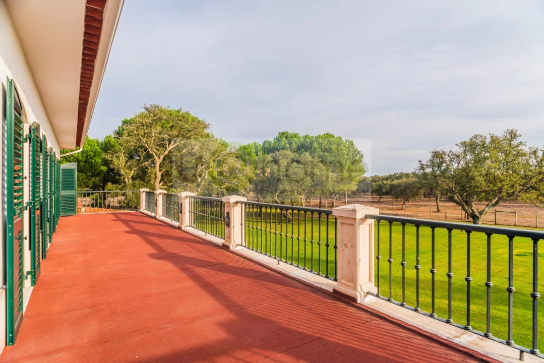 Quinta T8 para Venda em Santo Estêvão Foto 34