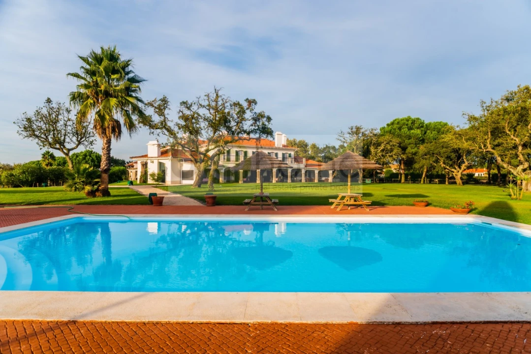 Quinta T8 para Venda em Santo Estêvão Foto 7