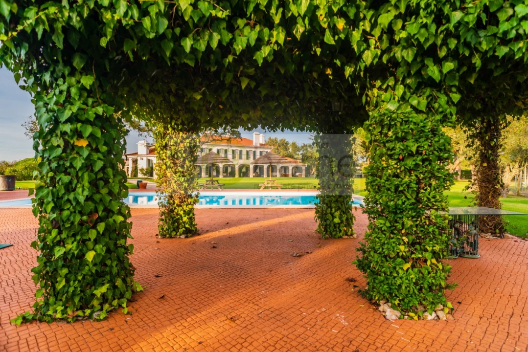 Quinta T8 para Venda em Santo Estêvão Foto 1