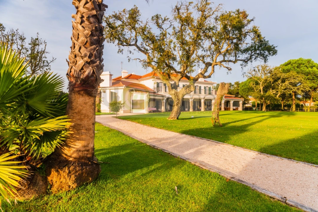 Quinta T8 para Venda em Santo Estêvão Foto 53