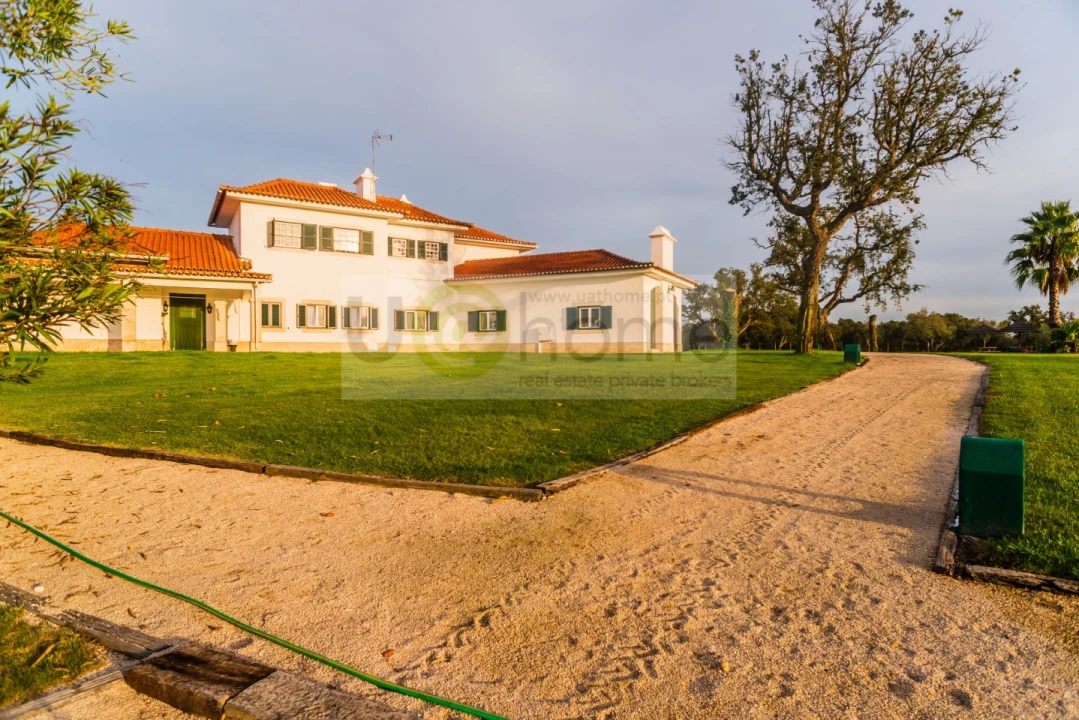 Quinta T8 para Venda em Santo Estêvão Foto 45