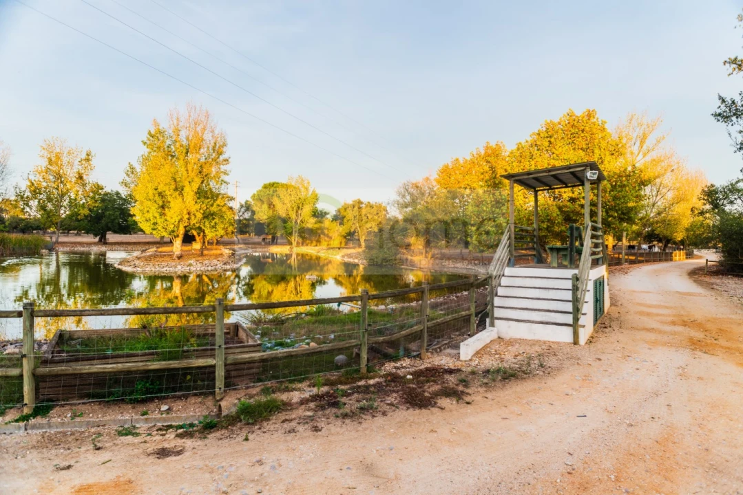 Quinta T8 para Venda em Santo Estêvão Foto 57