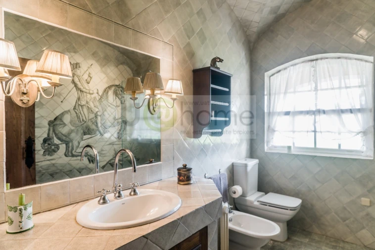 Quinta T8 para Venda em Santo Estêvão Foto 23