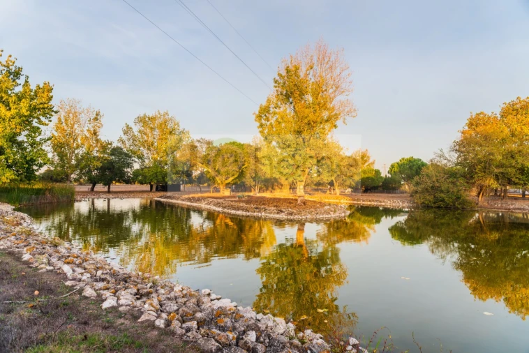 Quinta T8 para Venda em Santo Estêvão Foto 26