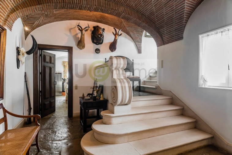 Quinta T8 para Venda em Santo Estêvão Foto 9