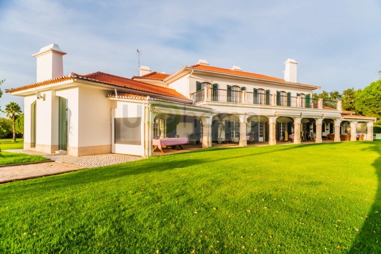 Quinta T8 para Venda em Santo Estêvão Foto 2