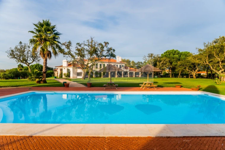 Quinta T8 para Venda em Santo Estêvão Foto 7