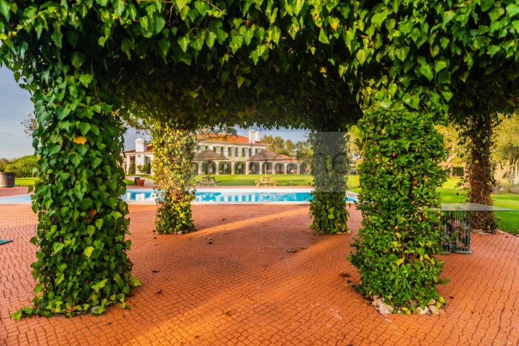 Quinta T8 para Venda em Santo Estêvão Foto 1