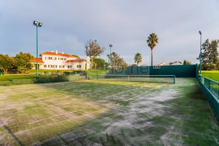 Quinta T8 para Venda em Santo Estêvão Foto 52