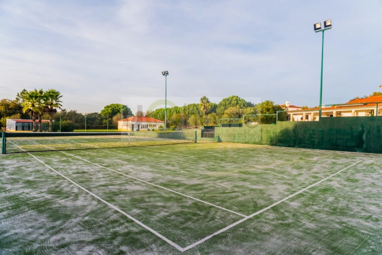 Quinta T8 para Venda em Santo Estêvão Foto 8