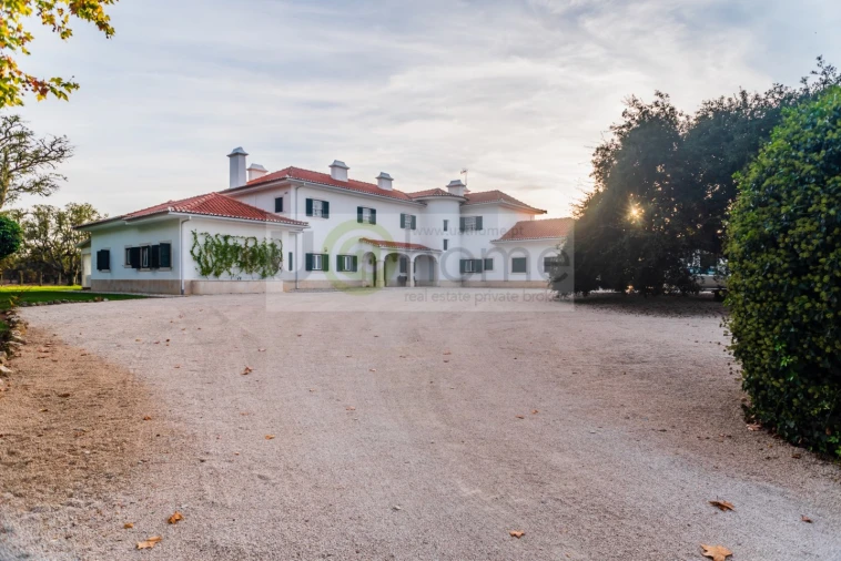 Quinta T8 para Venda em Santo Estêvão Foto 4