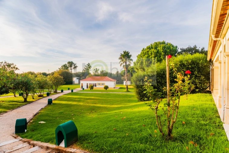 Quinta T8 para Venda em Santo Estêvão Foto 54