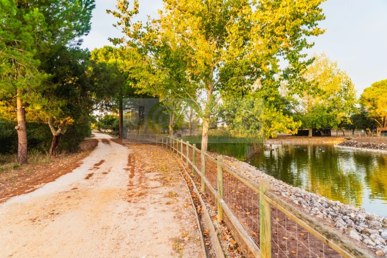 Quinta T8 para Venda em Santo Estêvão Foto 59