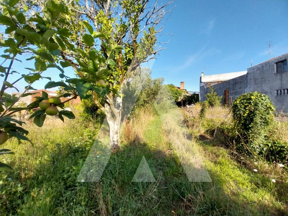 Moradia T3 para Venda em Albergaria-A-Velha e Valmaior Foto 20