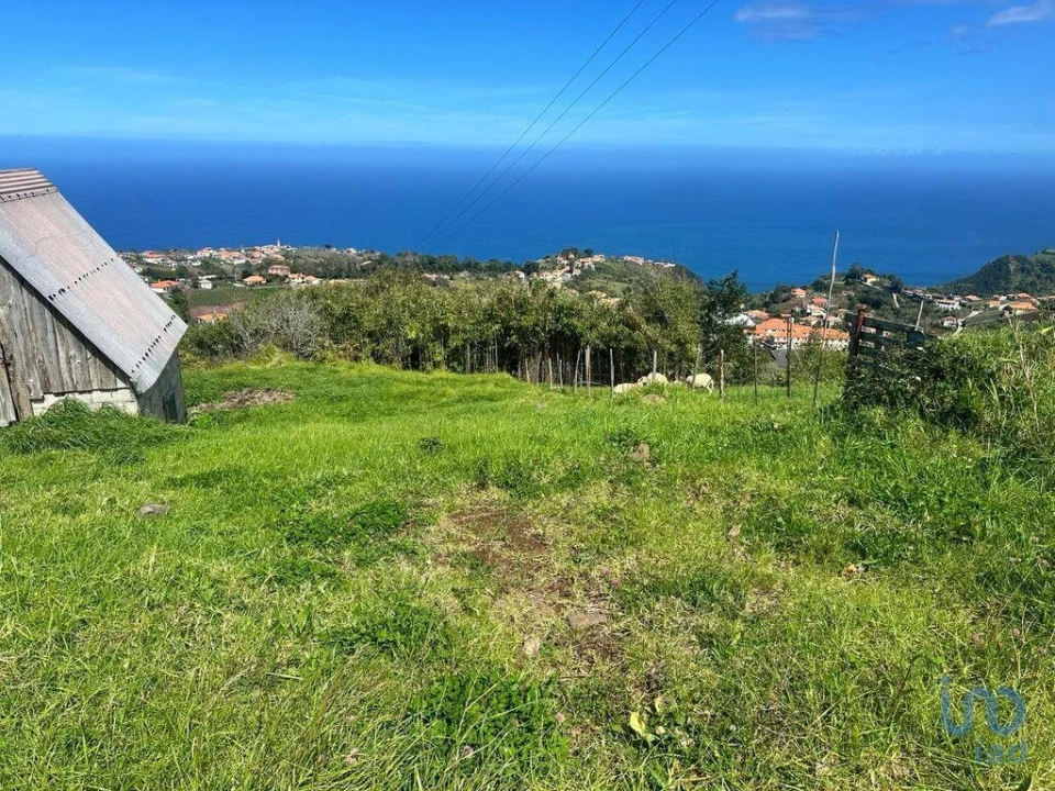 Terreno para Venda em Arco de São Jorge Foto 4