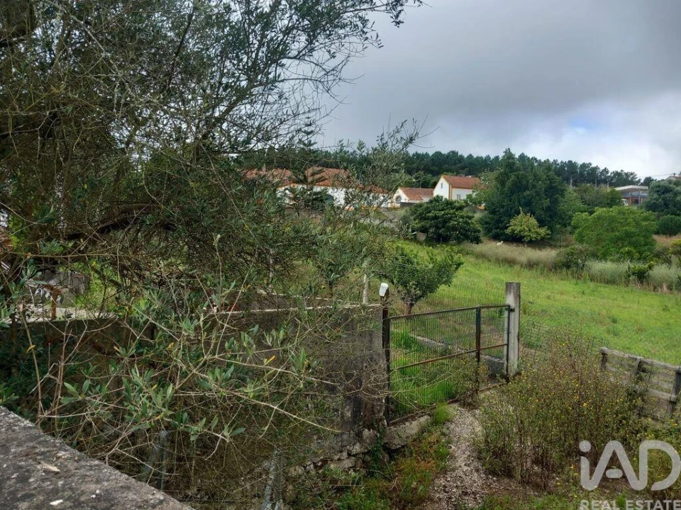 Moradia T3 para Venda em Coz, Alpedriz e Montes Foto 22