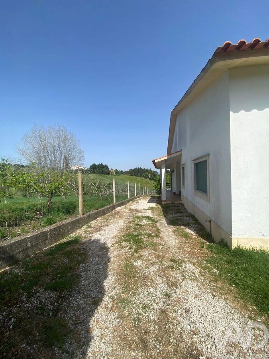 Moradia T3 para Venda em Coz, Alpedriz e Montes Foto 4