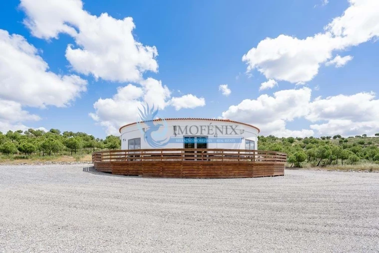 Quinta T3 para Venda em São Miguel do Pinheiro, São Pedro de Solis, São Sebastião dos Carros Foto 48