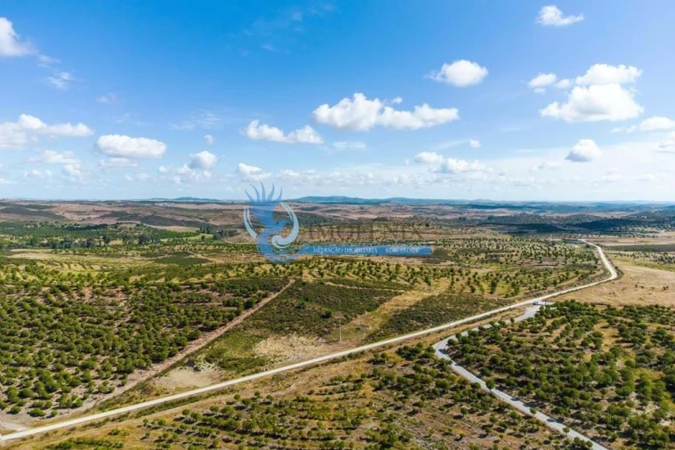 Quinta T3 para Venda em São Miguel do Pinheiro, São Pedro de Solis, São Sebastião dos Carros Foto 58