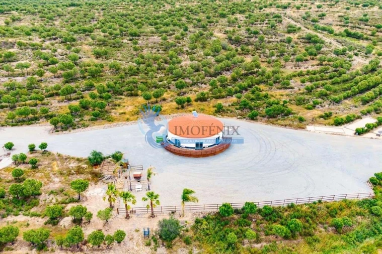 Quinta T3 para Venda em São Miguel do Pinheiro, São Pedro de Solis, São Sebastião dos Carros Foto 56