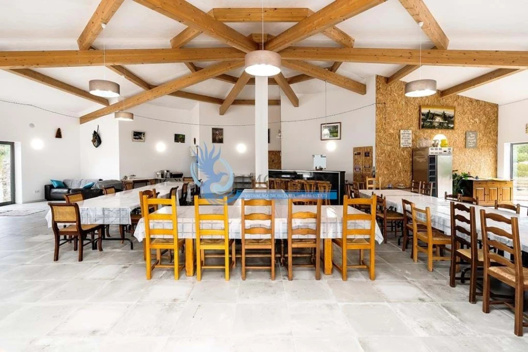 Quinta T3 para Venda em São Miguel do Pinheiro, São Pedro de Solis, São Sebastião dos Carros Foto 50