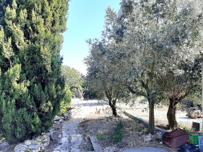 Moradia T3 para Venda em Evora de Alcobaça Foto 31