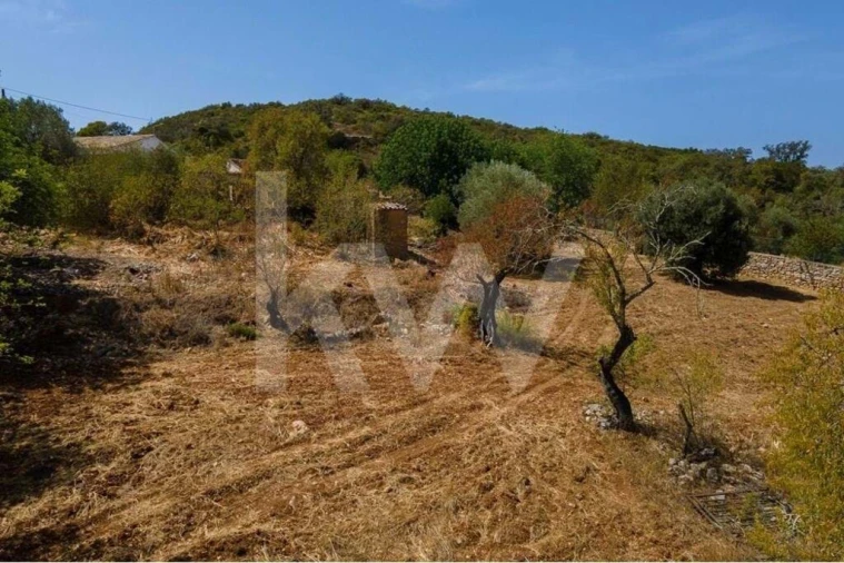 Moradia para Venda em São Brás de Alportel Foto 11