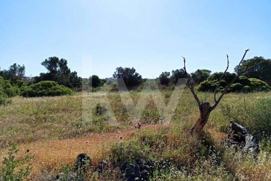 Terreno para Venda em Loule (São Clemente) Foto 3