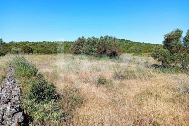 Terreno para Venda em Loule (São Clemente) Foto 2