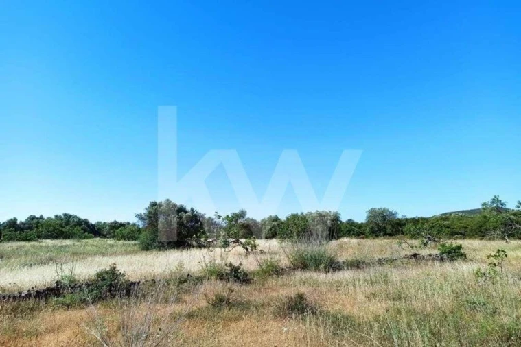 Terreno para Venda em Loule (São Clemente) Foto 5