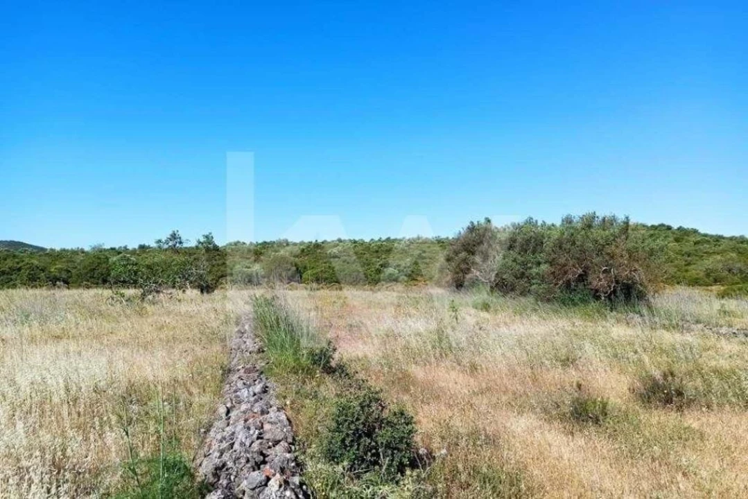 Terreno para Venda em Loule (São Clemente) Foto 4
