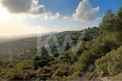 Terreno para Venda em Santa Barbara de Nexe