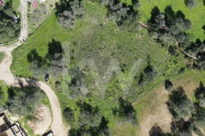 Terreno para Venda em Almancil
