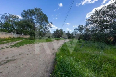 Terreno para Venda em Almancil