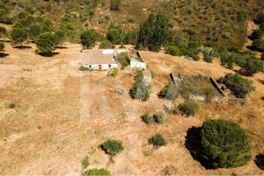 Quinta T5 para Venda em Cachopo Foto 41