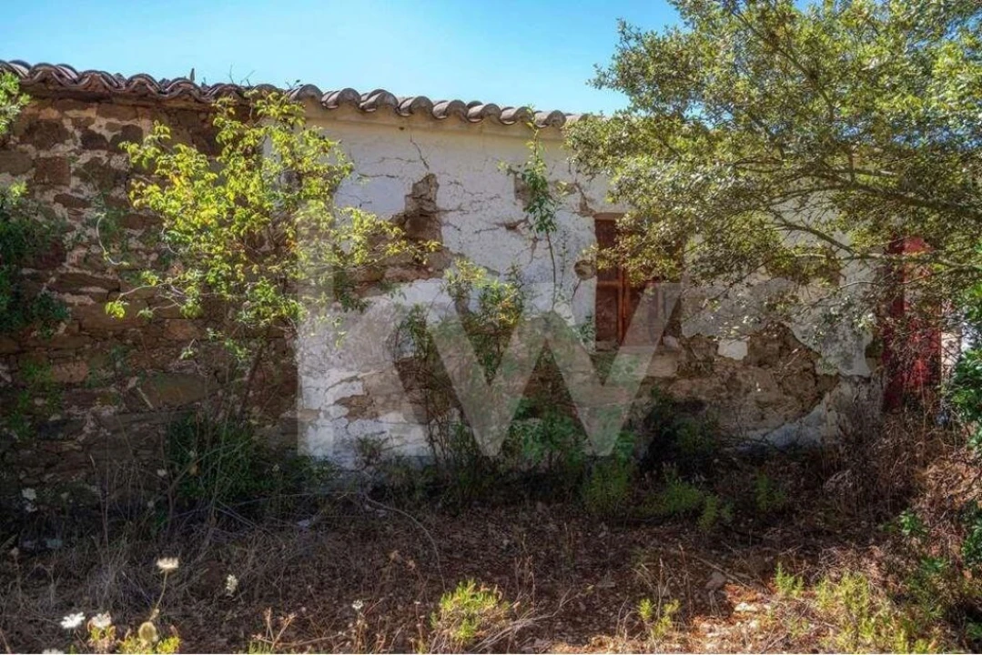 Quinta T5 para Venda em Cachopo Foto 28