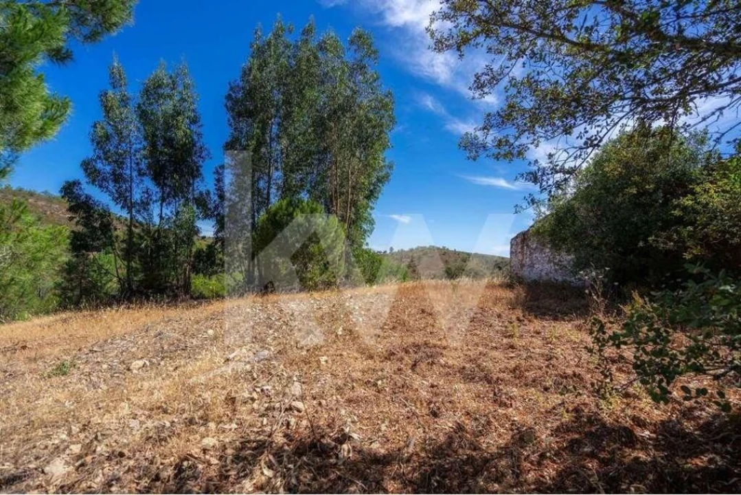 Quinta T5 para Venda em Cachopo Foto 26